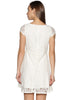 White Net Lace Dress